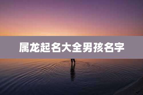 属龙起名大全男孩名字