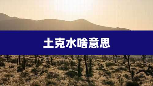 土克水啥意思