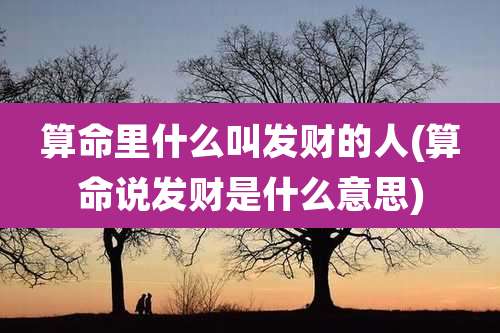 算命里什么叫发财的人(算命说发财是什么意思)