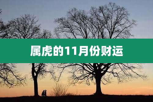 属虎的11月份财运
