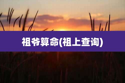 祖爷算命(祖上查询)