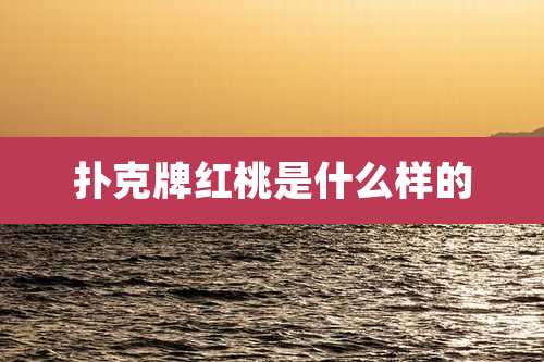 扑克牌红桃是什么样的