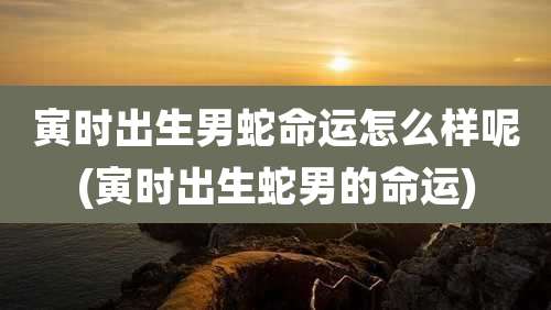 寅时出生男蛇命运怎么样呢(寅时出生蛇男的命运)