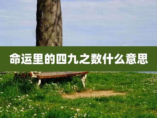 命运里的四九之数什么意思