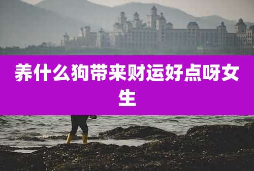 养什么狗带来财运好点呀女生