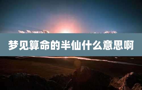 梦见算命的半仙什么意思啊