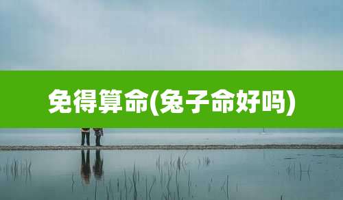 免得算命(兔子命好吗)