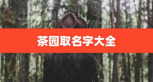 茶园取名字大全