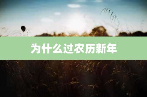 为什么过农历新年