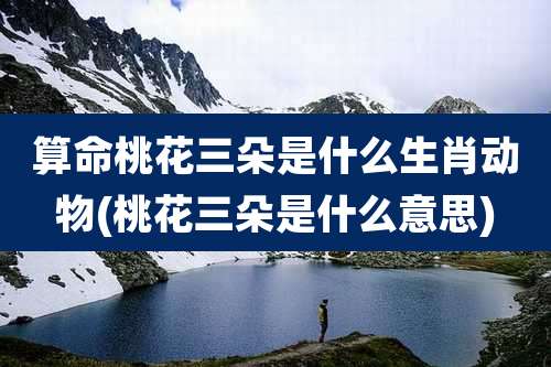 算命桃花三朵是什么生肖动物(桃花三朵是什么意思)