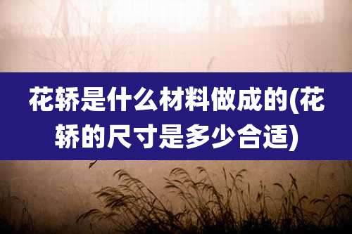 花轿是什么材料做成的(花轿的尺寸是多少合适)