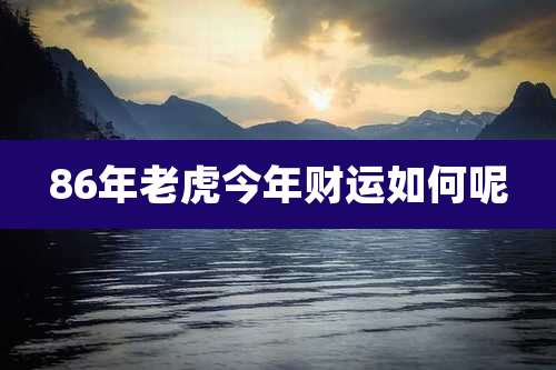86年老虎今年财运如何呢