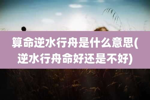 算命逆水行舟是什么意思(逆水行舟命好还是不好)