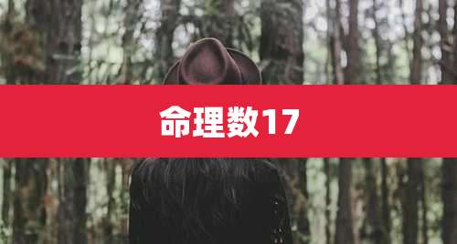 命理数17