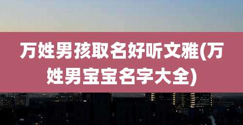 万姓男孩取名好听文雅(万姓男宝宝名字大全)