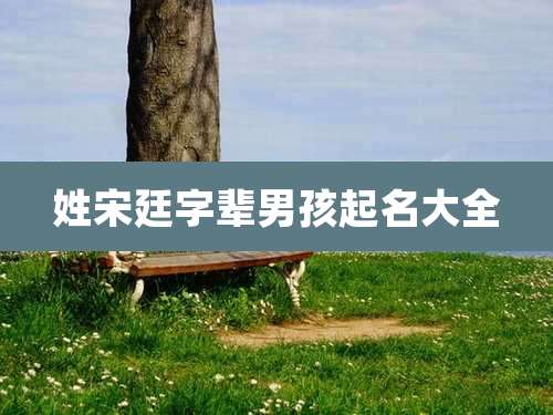 姓宋廷字辈男孩起名大全