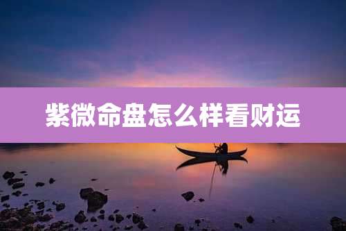 紫微命盘怎么样看财运