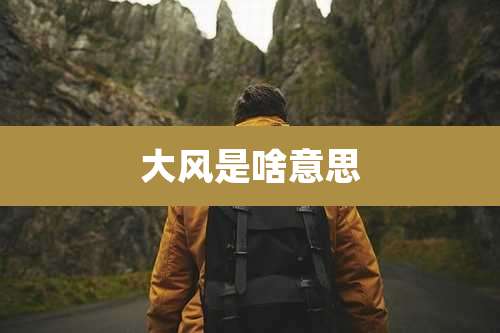 大风是啥意思