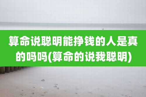 算命说聪明能挣钱的人是真的吗吗(算命的说我聪明)