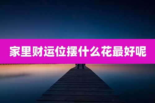 家里财运位摆什么花最好呢