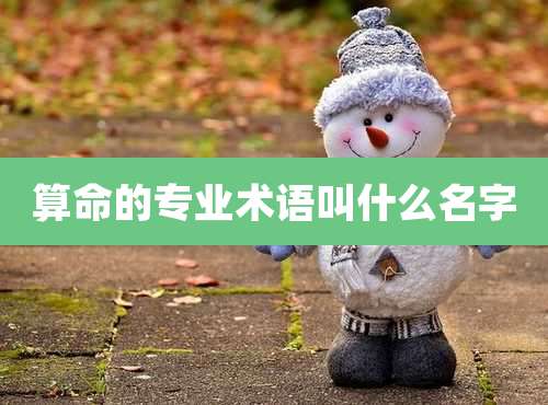 算命的专业术语叫什么名字