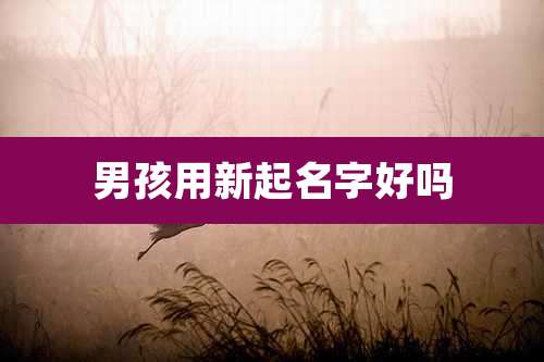 男孩用新起名字好吗