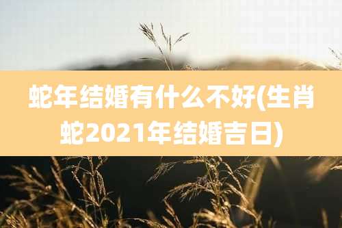 蛇年结婚有什么不好(生肖蛇2021年结婚吉日)