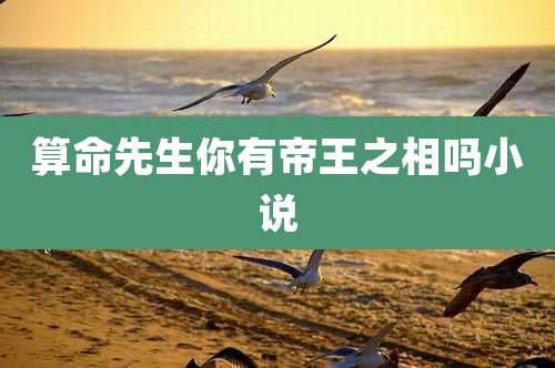 算命先生你有帝王之相吗小说