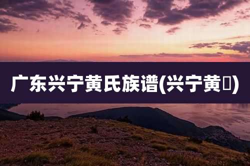 广东兴宁黄氏族谱(兴宁黄粄)