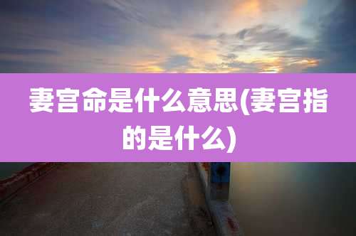 妻宫命是什么意思(妻宫指的是什么)