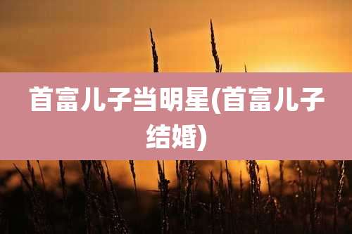 首富儿子当明星(首富儿子结婚)