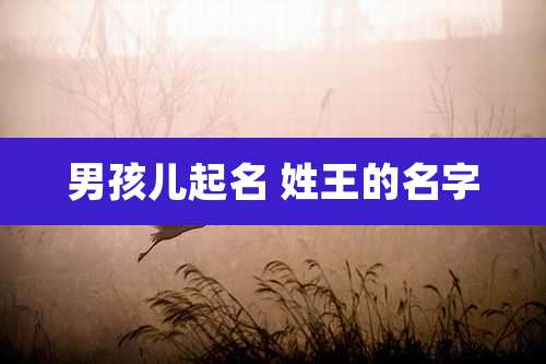 男孩儿起名 姓王的名字