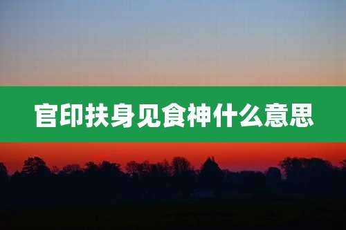 官印扶身见食神什么意思