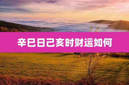 辛巳日己亥时财运如何