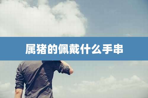 属猪的佩戴什么手串