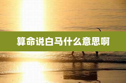 算命说白马什么意思啊