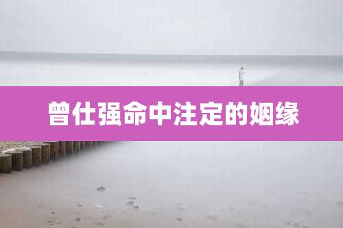 曾仕强命中注定的姻缘