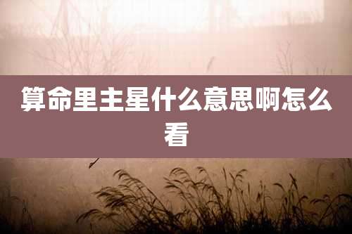 算命里主星什么意思啊怎么看