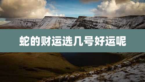 蛇的财运选几号好运呢