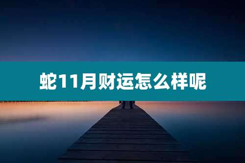 蛇11月财运怎么样呢