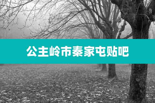 公主岭市秦家屯贴吧