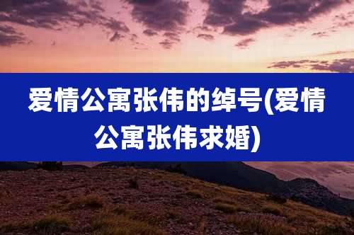 爱情公寓张伟的绰号(爱情公寓张伟求婚)