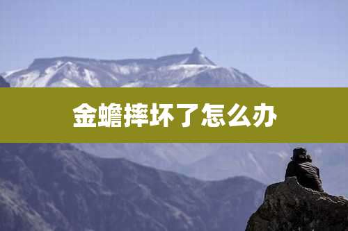 金蟾摔坏了怎么办