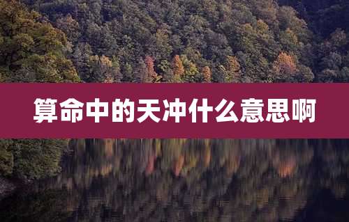 算命中的天冲什么意思啊