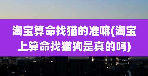 淘宝算命找猫的准嘛(淘宝上算命找猫狗是真的吗)