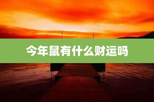 今年鼠有什么财运吗