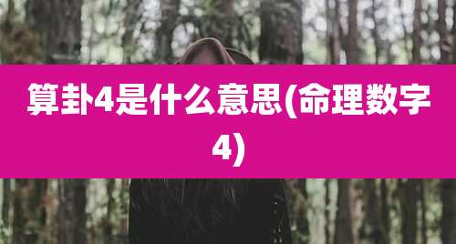 算卦4是什么意思(命理数字4)