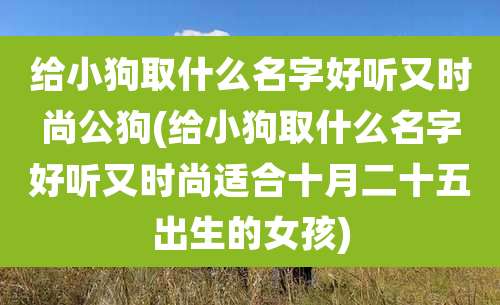 给小狗取什么名字好听又时尚公狗(给小狗取什么名字好听又时尚适合十月二十五出生的女孩)