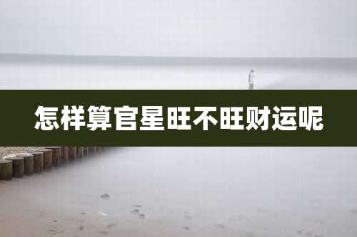 怎样算官星旺不旺财运呢