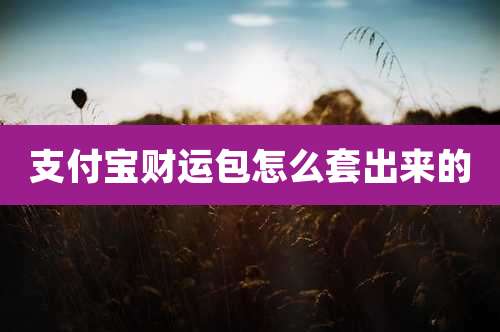 支付宝财运包怎么套出来的